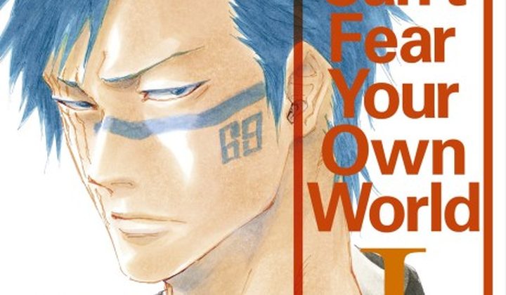 Bleach: Can't Fear Your Own World