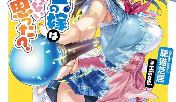 Netoge no Yome wa Onnanoko ja Nai to Omotta?
