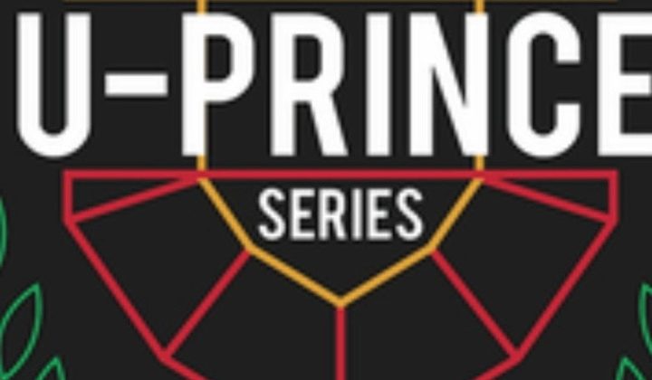 U-Prince Series